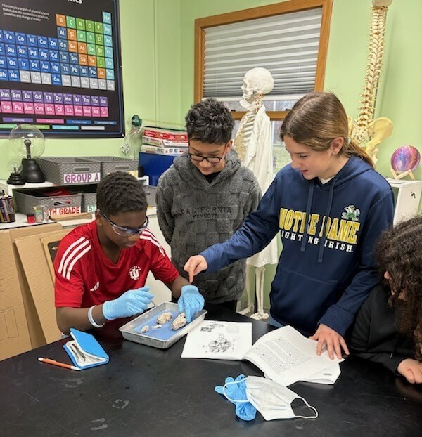 3 students explore sheep brains