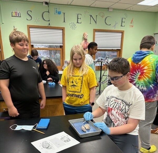3 students exploring sheep brains