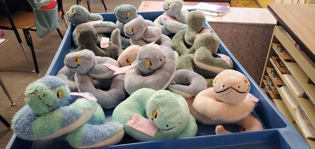 Finished snake project. 