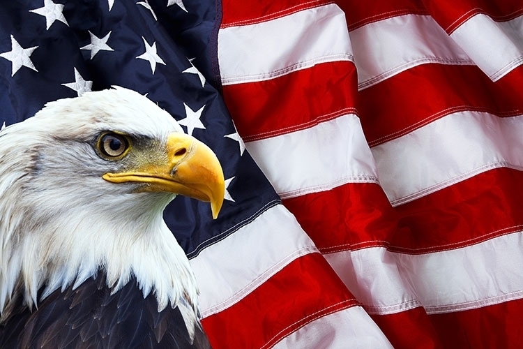 American Flag with Eagle 