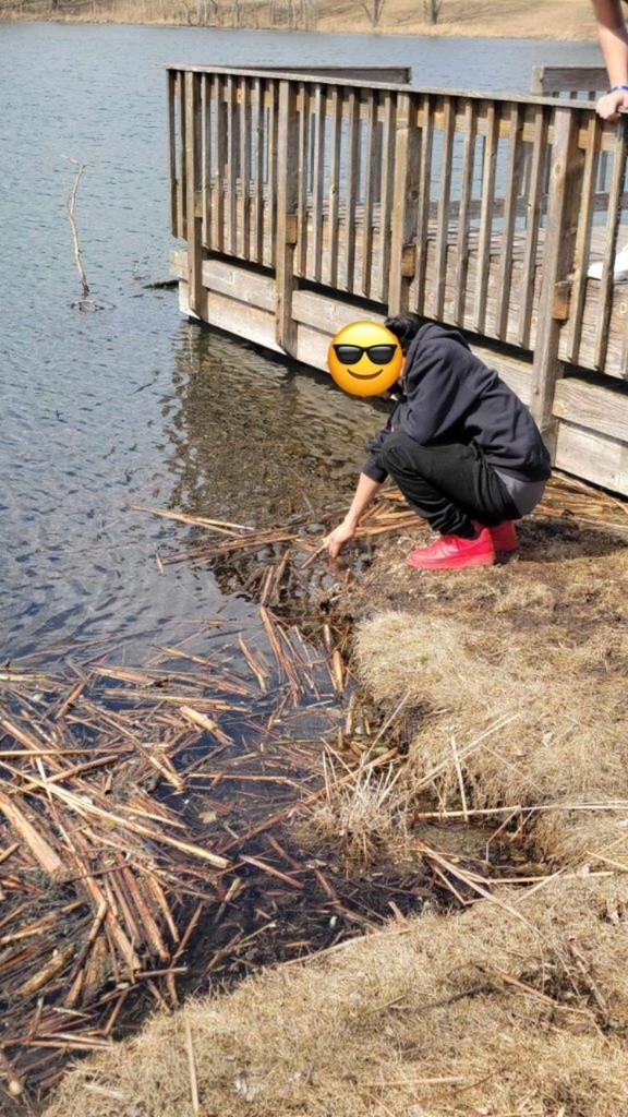 learning about water plants