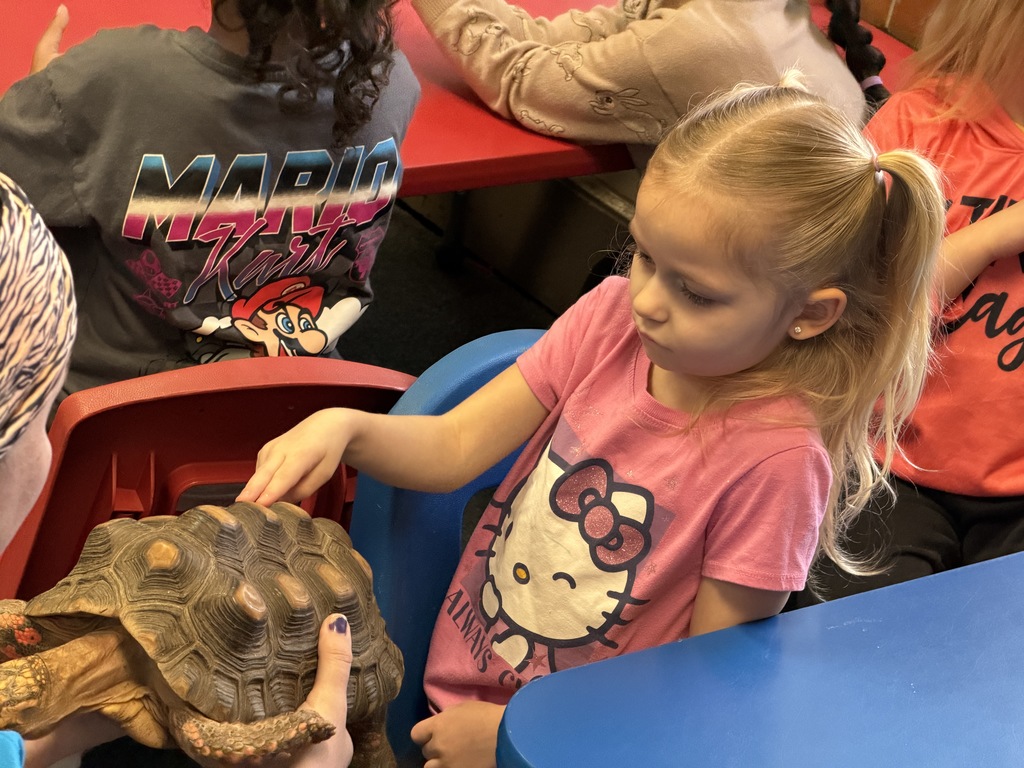 Young girl petting a tortoise.