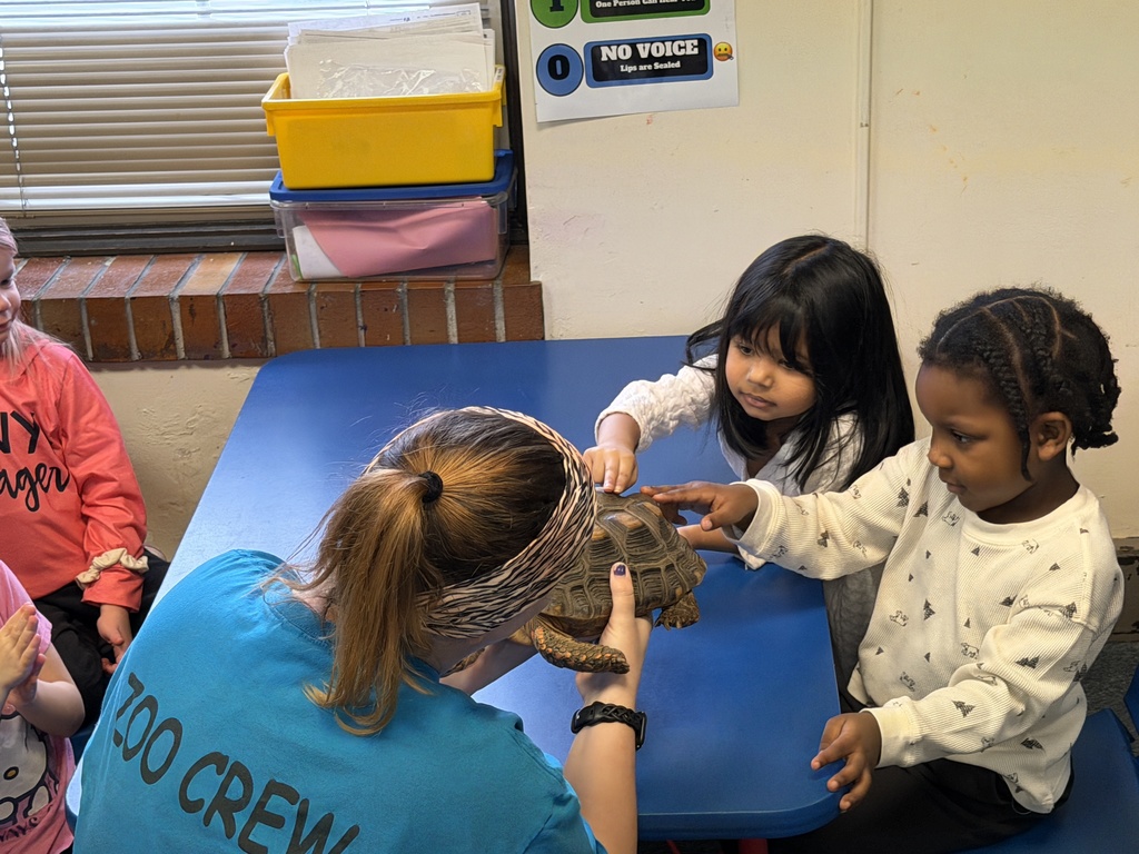 Young girland boy petting a tortoise.