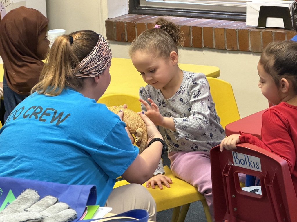 Young girl petting a bearded dragon.