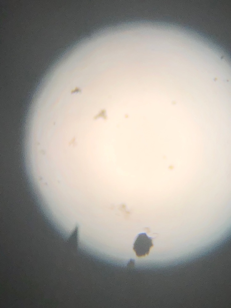 space dust under 4 times magnification.