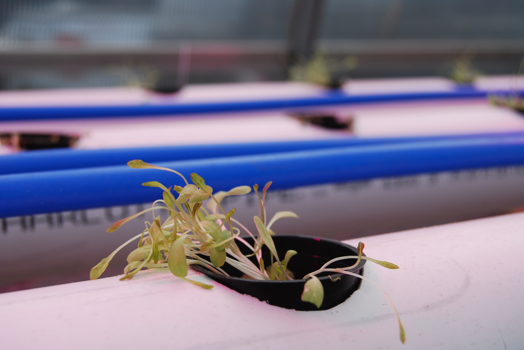 Getting ready for big things 