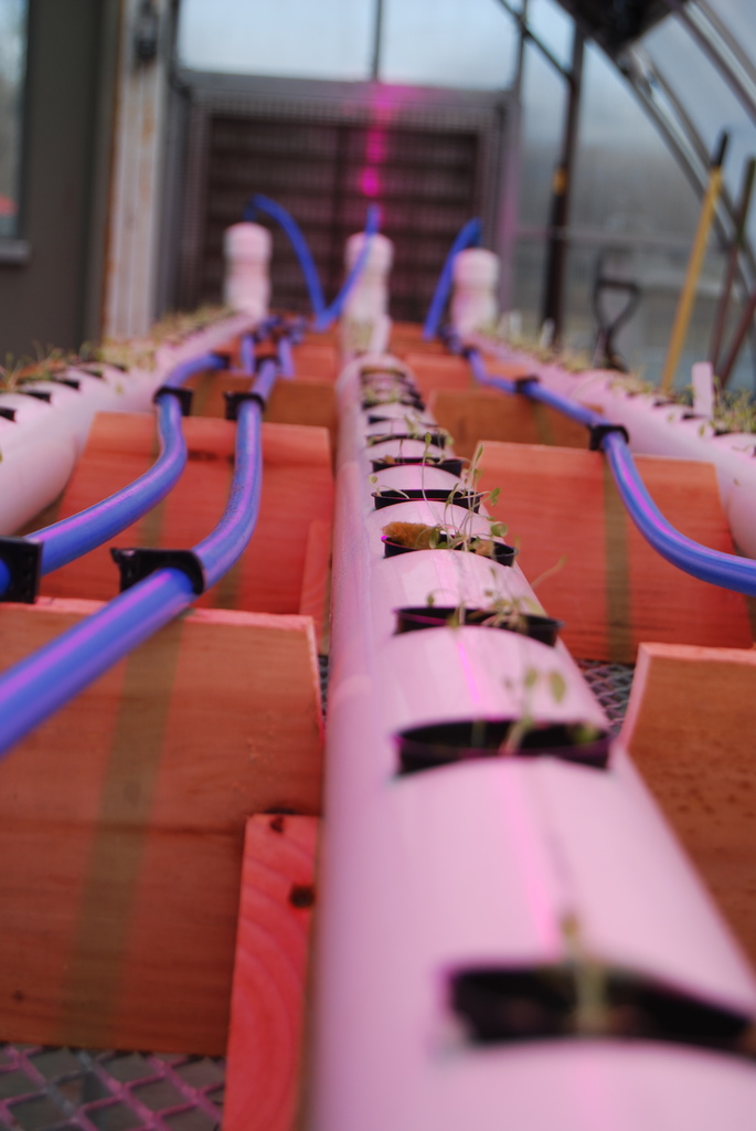 Here goes nothing...