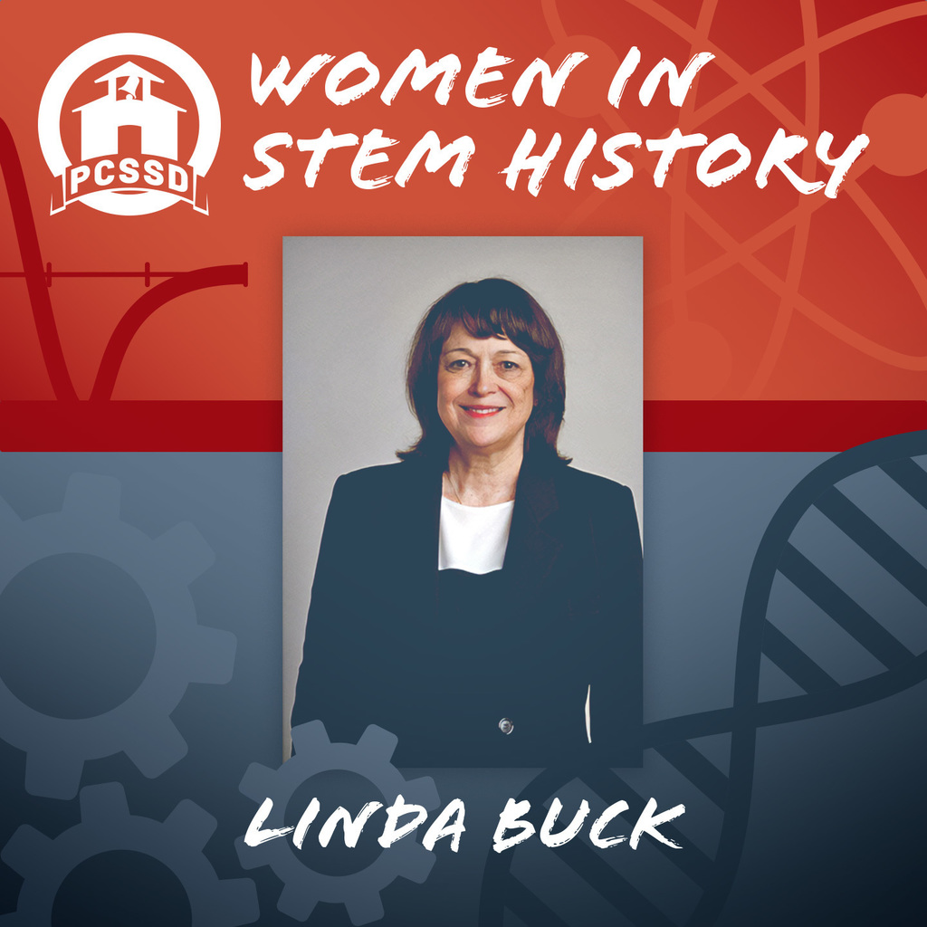 whm linda buck