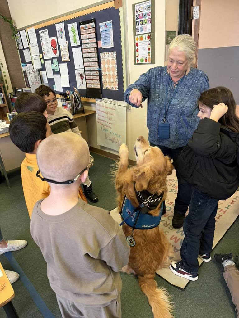 Female adult holding a treat and a golden retriever dog is standing on two legs to try to get it. 