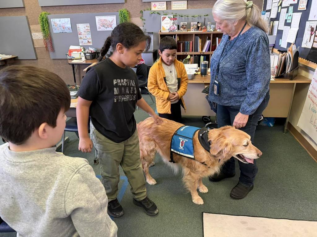 Kids petting and looking at a golden retriever dog in a classroom.