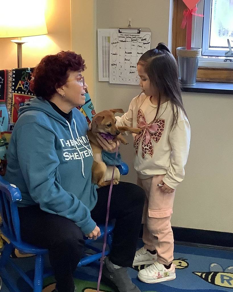 Child petting a small dog that a women in a blue hoodie is holding. 