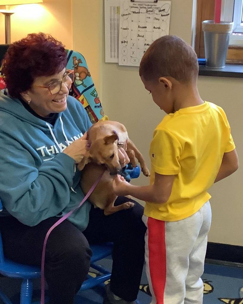 Child petting a small dog that a women in a blue hoodie is holding. 