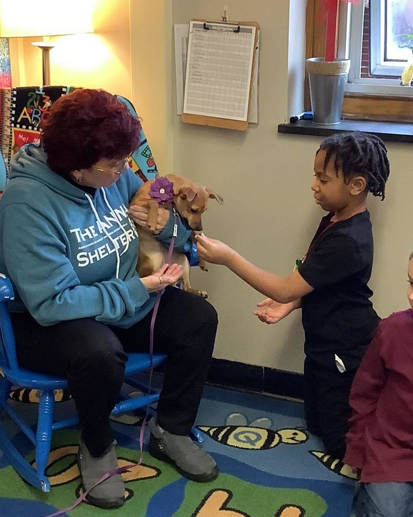 Child petting a small dog that a women in a blue hoodie is holding. 
