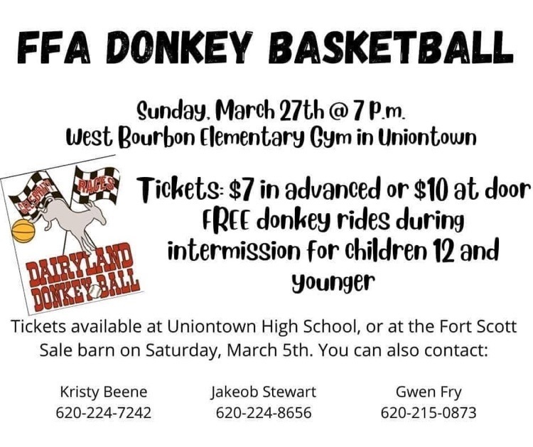 donkey bball 