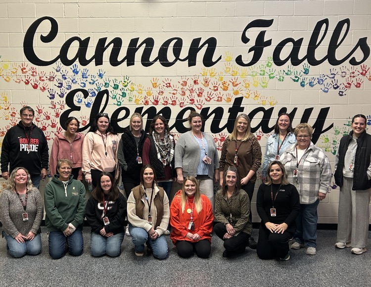 paraprofessional team