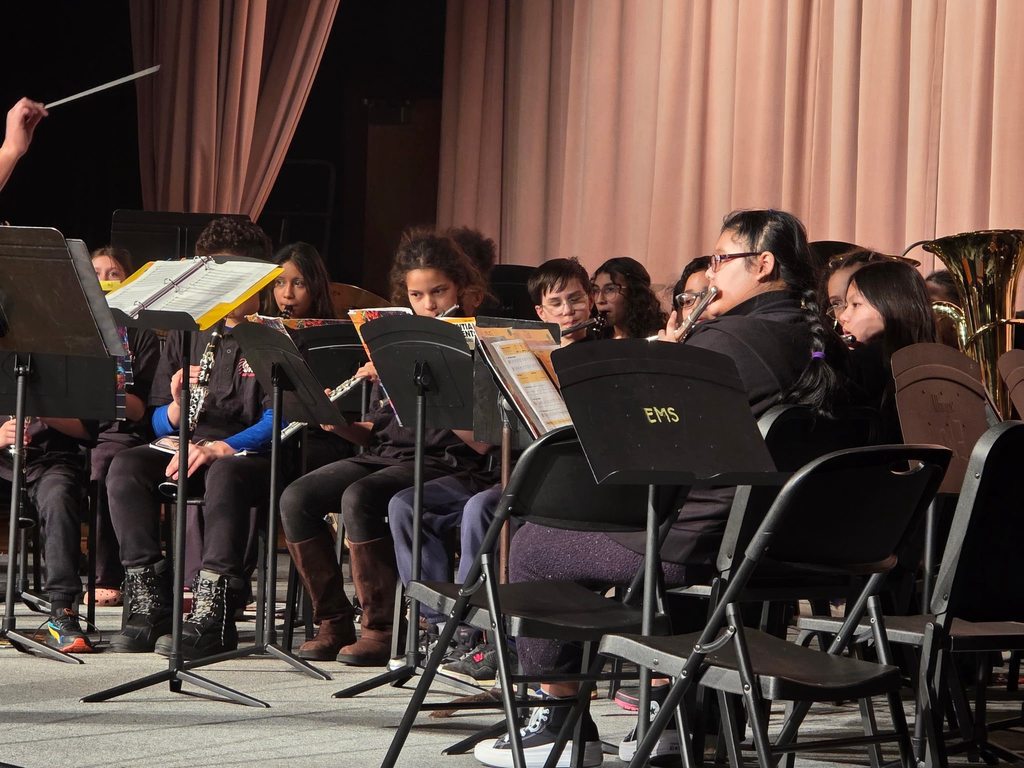 Kids playing instruments at a concert. 