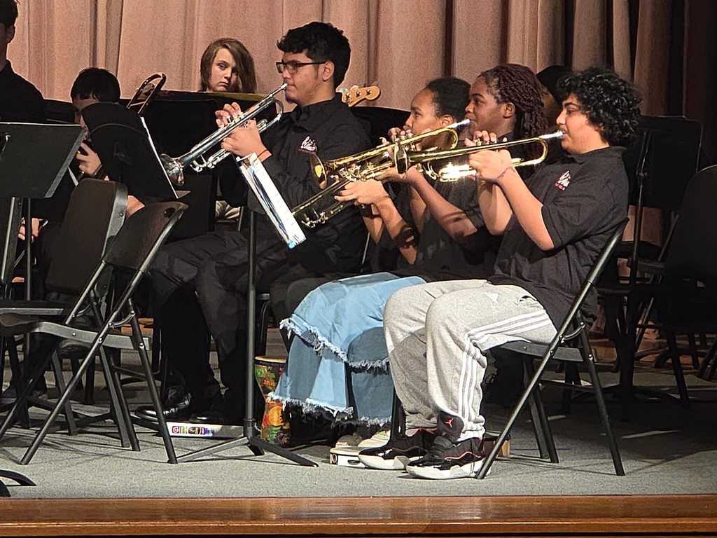 Kids playing instruments at a concert. 