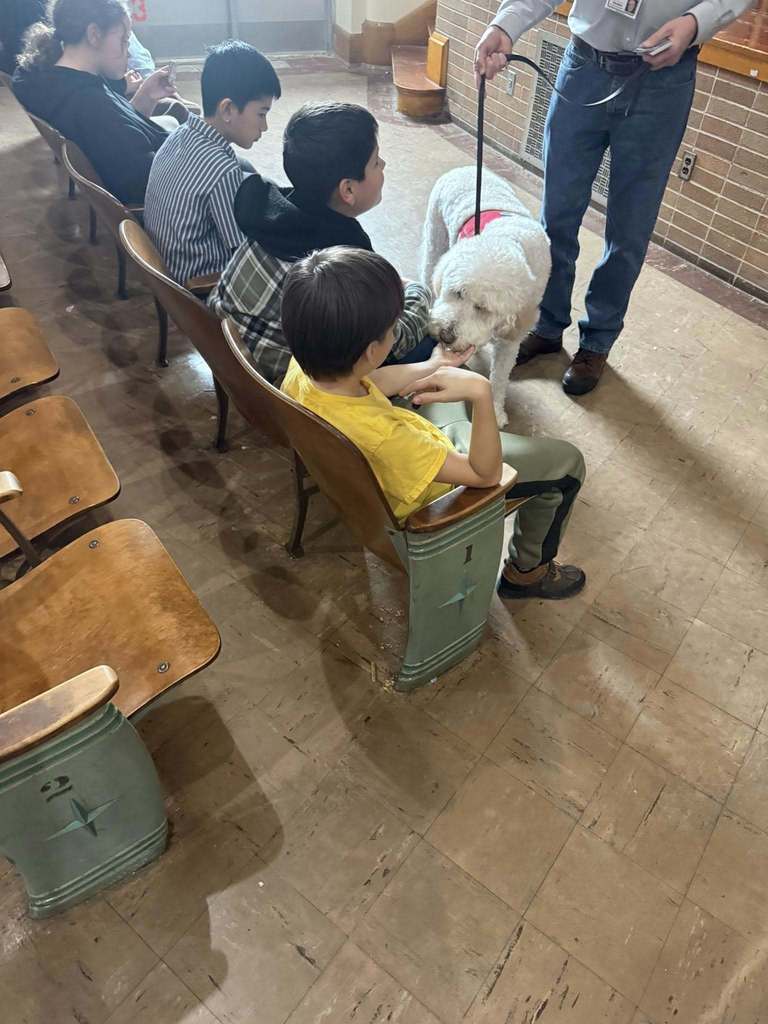 Kids sitting in an auditorium and the boy in a yellow shirt is petting a white dog.