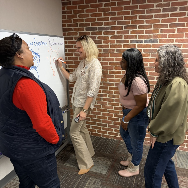 Literacy Coaches involved in learning activity.