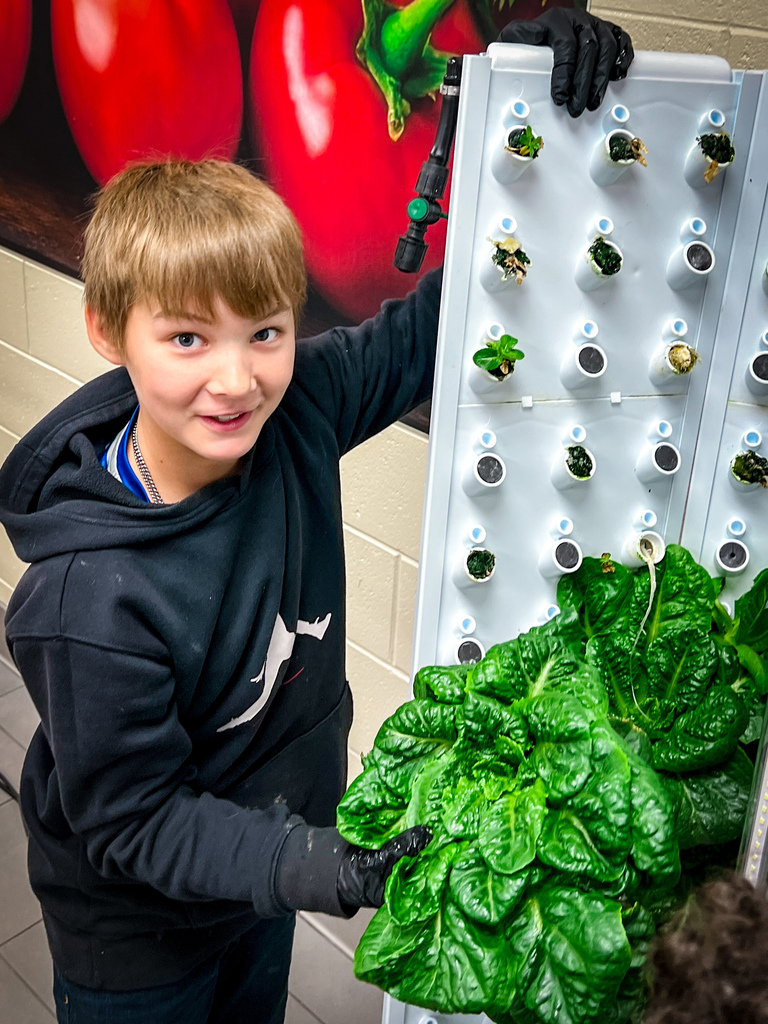 PCES students learning about PCCSS" HydroFarms and harvesting lettuce for their salad bar.