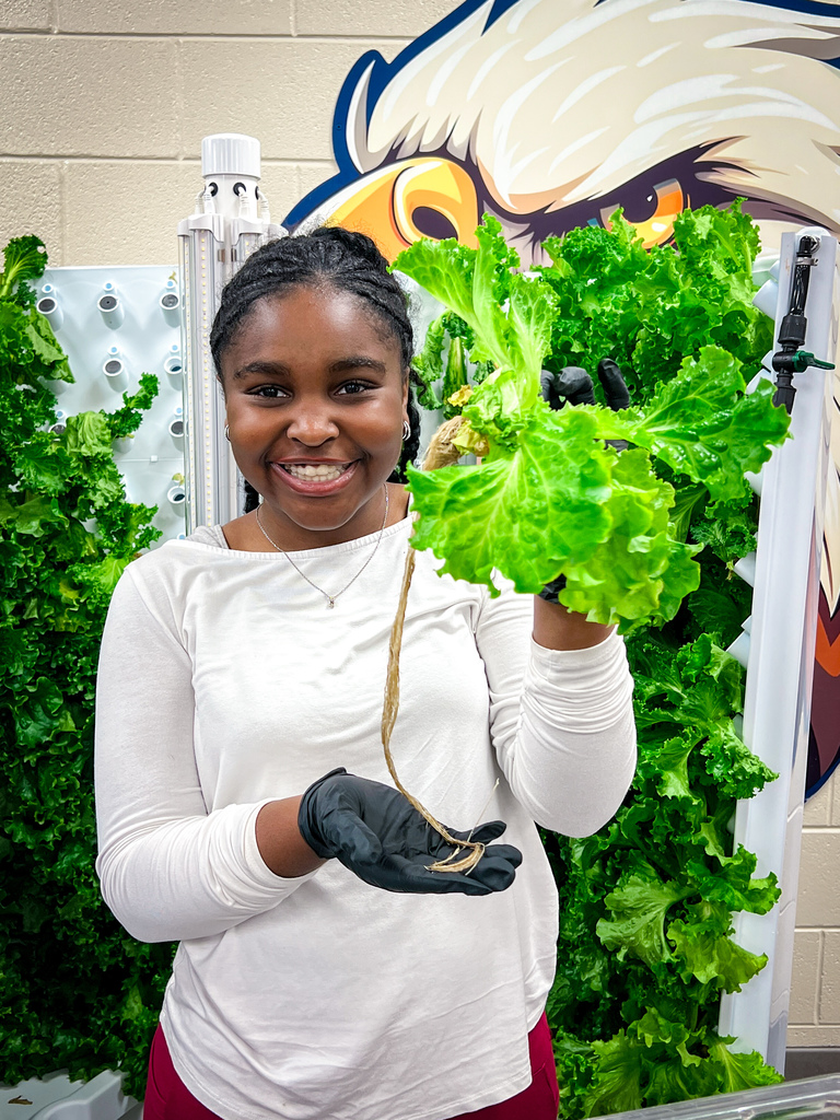 PCES students learning about PCCSS" HydroFarms and harvesting lettuce for their salad bar.