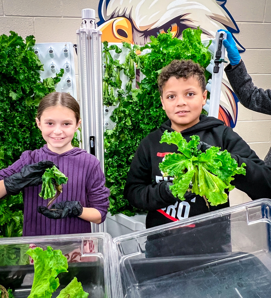 PCES students learning about PCCSS" HydroFarms and harvesting lettuce for their salad bar.