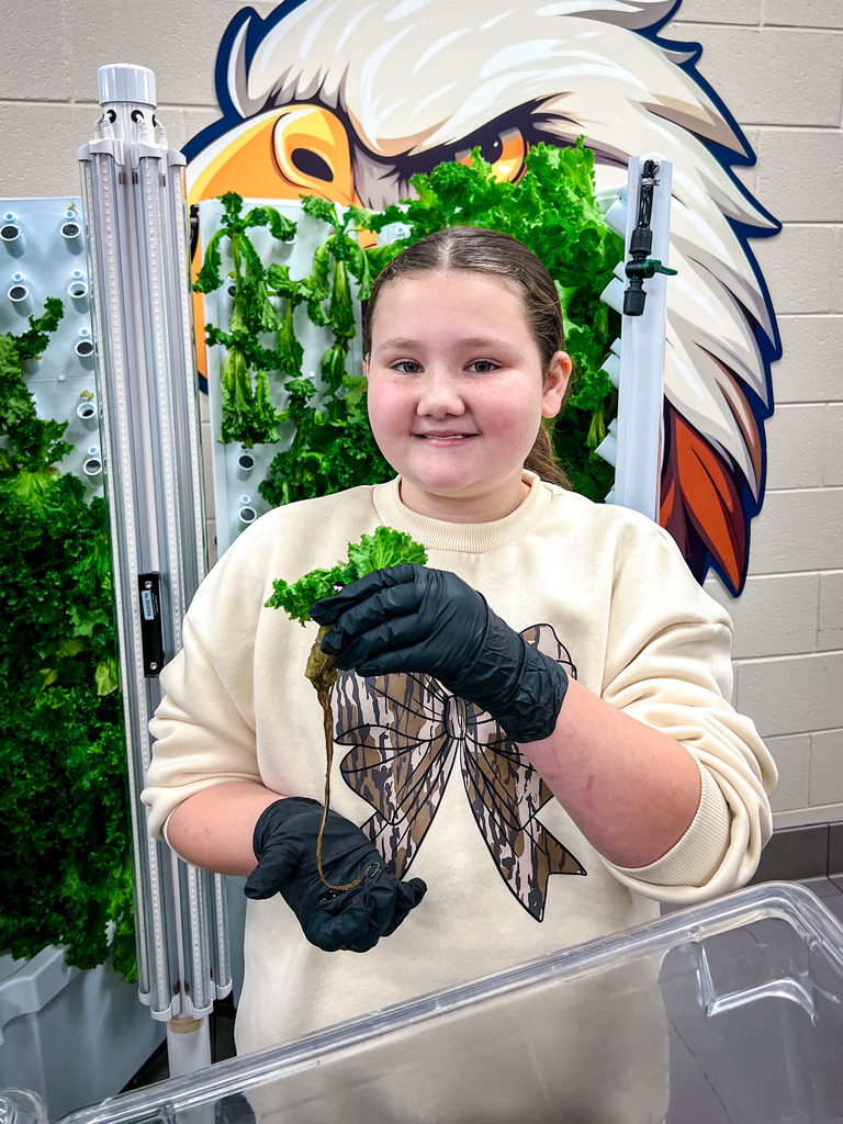 PCES students learning about PCCSS" HydroFarms and harvesting lettuce for their salad bar.