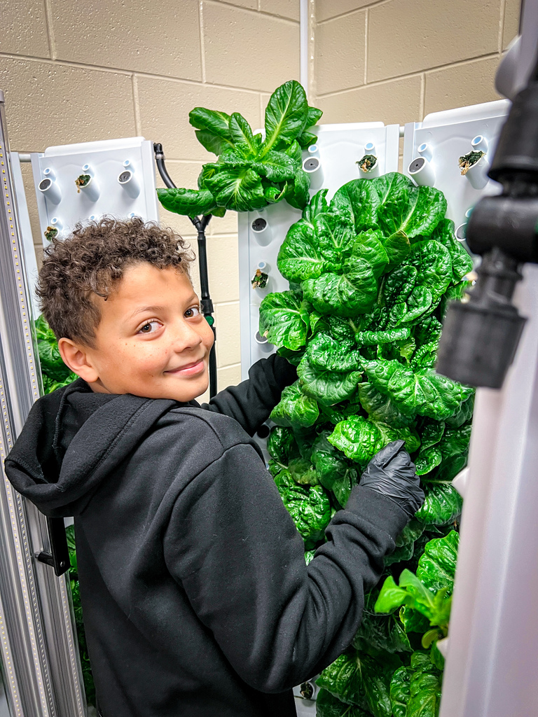 PCES students learning about PCCSS" HydroFarms and harvesting lettuce for their salad bar.
