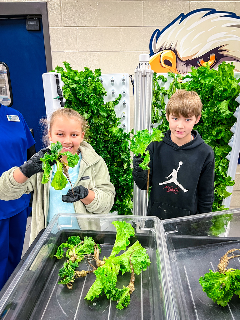 PCES students learning about PCCSS" HydroFarms and harvesting lettuce for their salad bar.