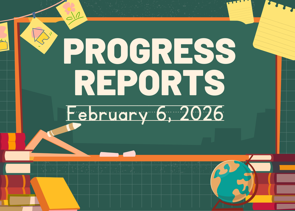 progress report