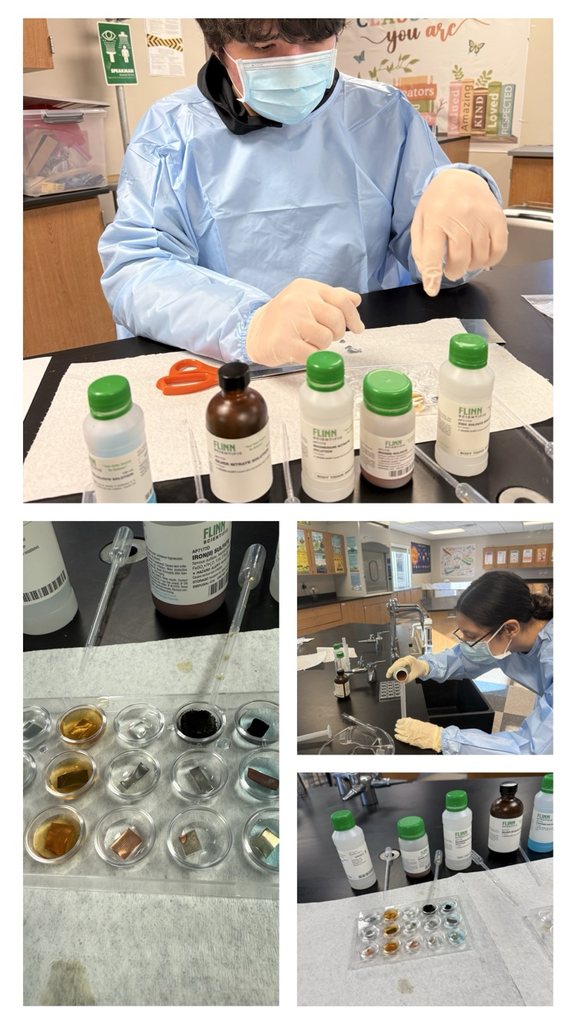 Metal strips, solutions, and curious minds at work! #ChemistryLabDay