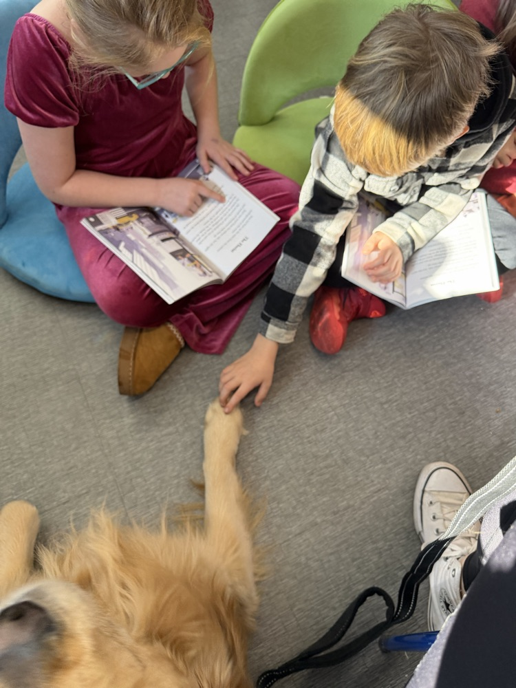 Sampson Reading Groups