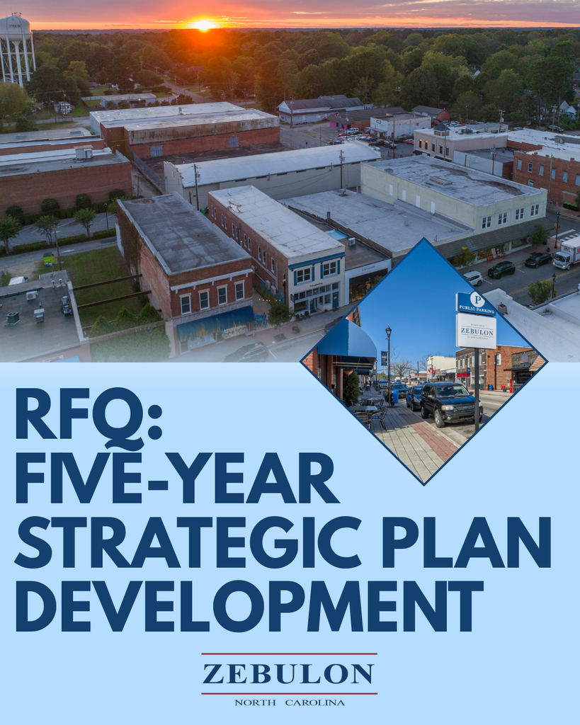 rfq five year strat plan development