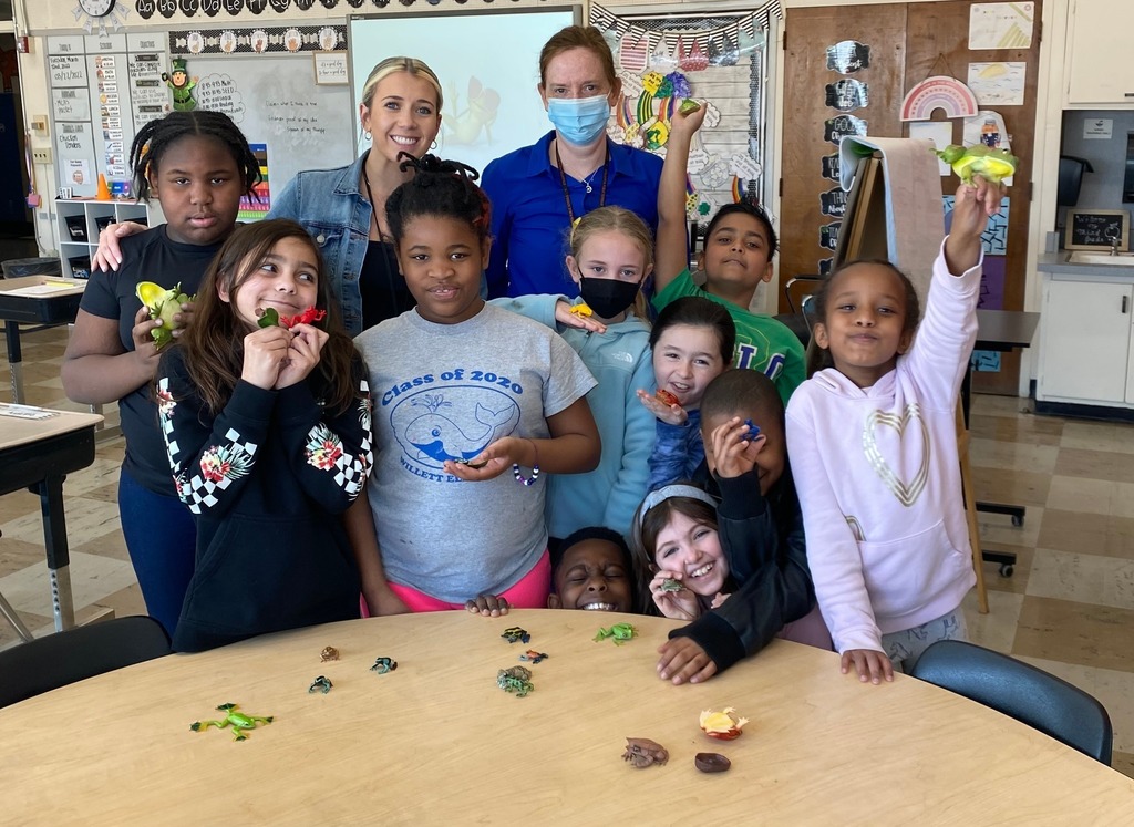 Wilkins School third graders learning about frogs