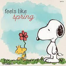 Snoopy Spring 