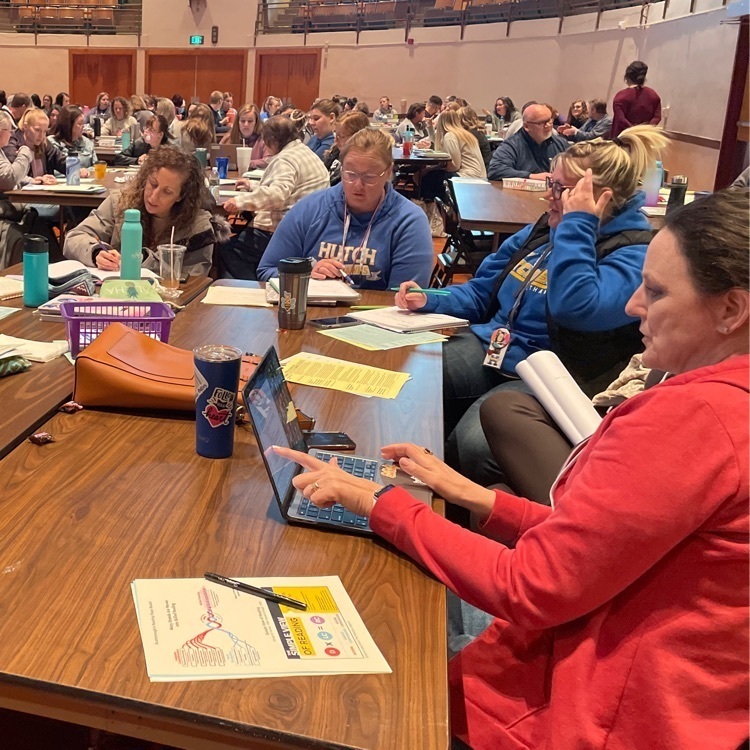 professional development