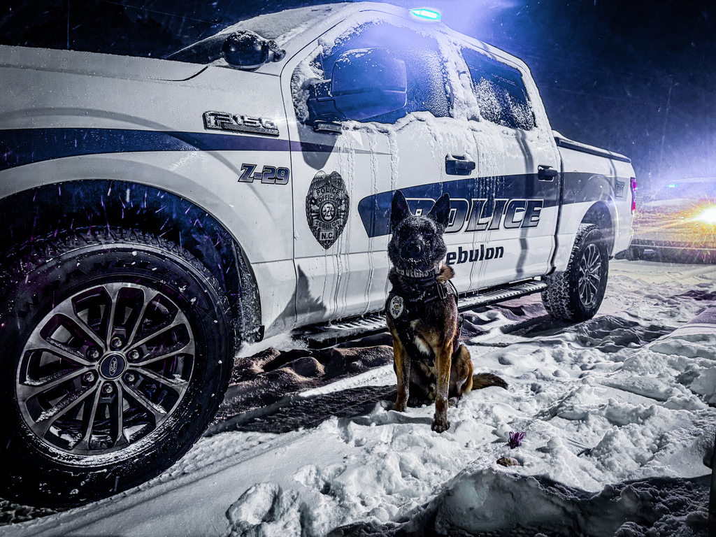 k9 vegas and snow