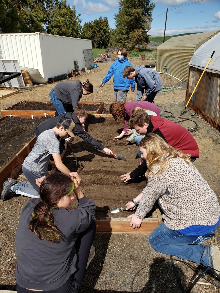 7th Grade Greenhouse