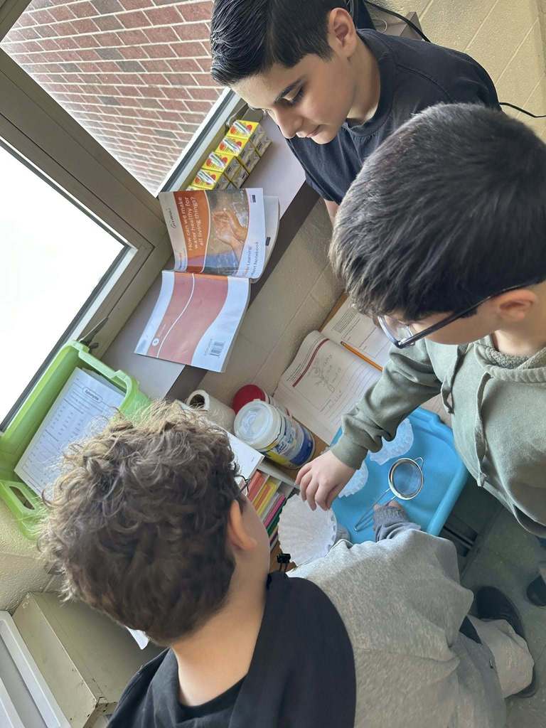 Kids in a classroom doing a experiment. 