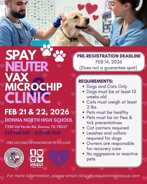 626944423_953749703642894_9162676120504713935_n