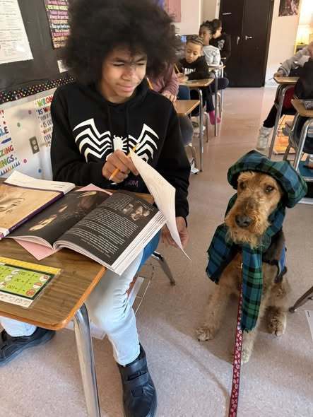 A young boy is sitting at a desk in a classroom and showing a paper to a dog who is sitting on the floor dressed in a plaid hat and scarf. 