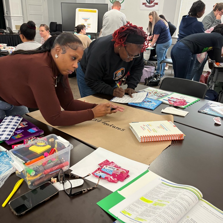 teachers completing activity