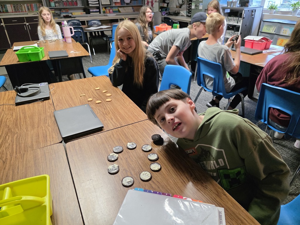 5th Grade Solar System Activity