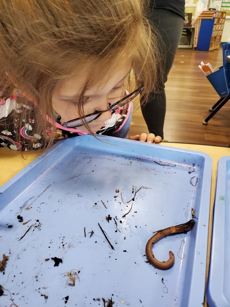 Kindergarten Science
