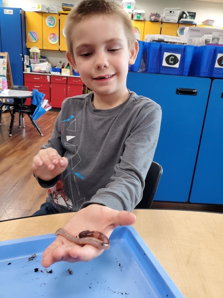 Kindergarten Science