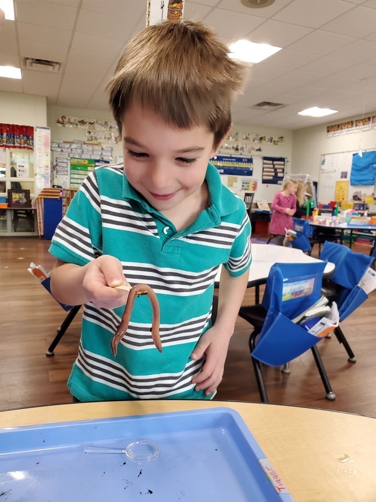Kindergarten Science