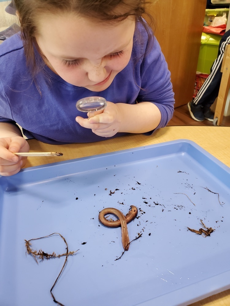 Kindergarten Science