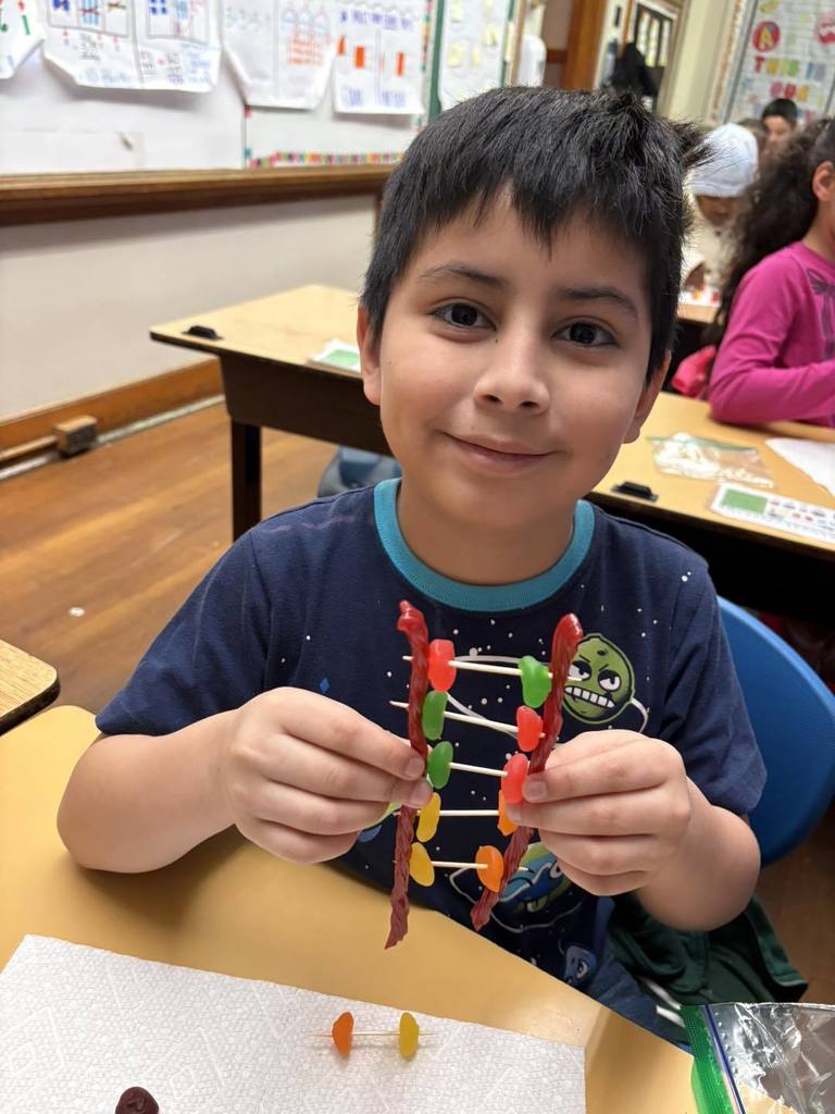 Young boy in a blue shirt is putting candy on toothpick for a project. 