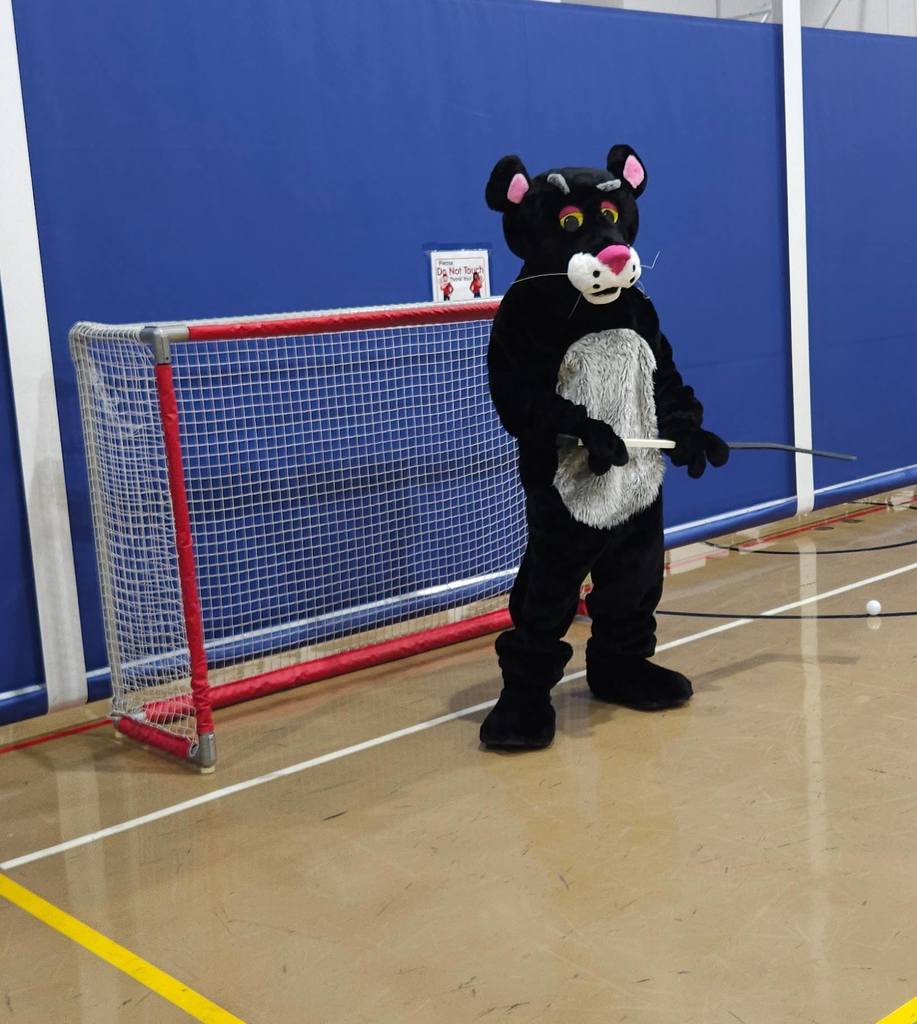 A panther mascot standing in front of a goal.