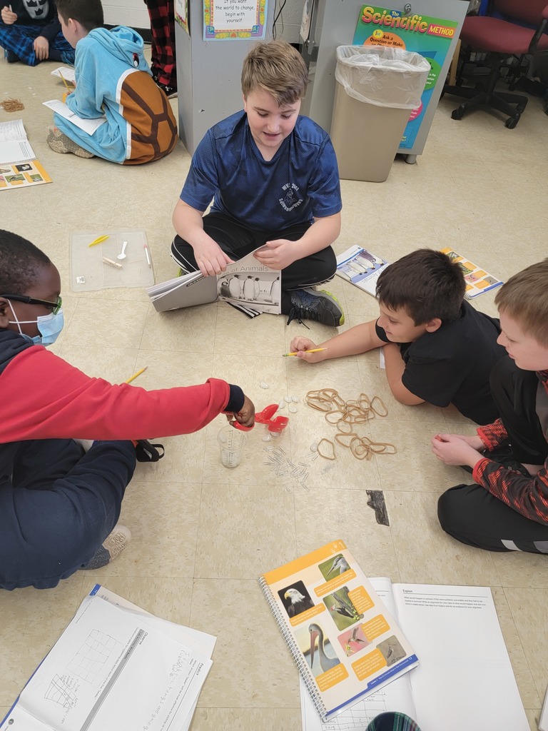 5th grade scientists learning about animal adaptations.